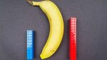 Here's how it compares the size of an average penis with fam